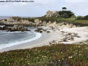 Monterey - California