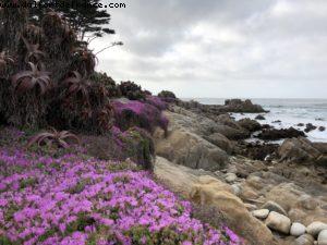 Monterey - California