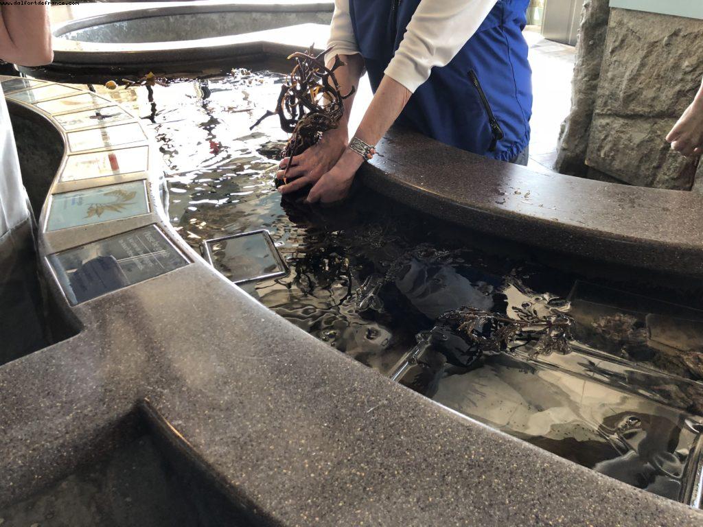 Aquarium - Monterey - California