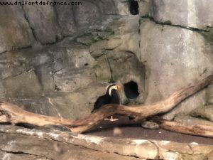 Aquarium - Monterey - California