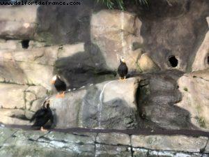 Aquarium - Monterey - California