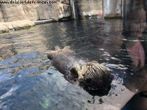 Aquarium - Monterey - California