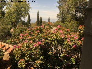 Hearst Castle - San Simeon