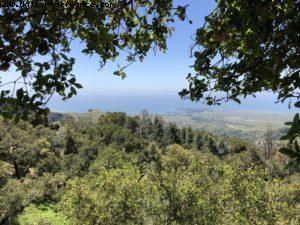 Hearst Castle - San Simeon