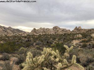 Driving from Palm Springs