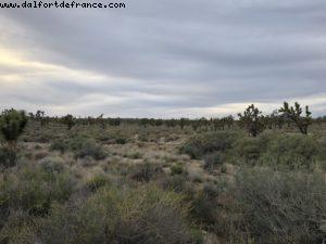 Driving from Palm Springs