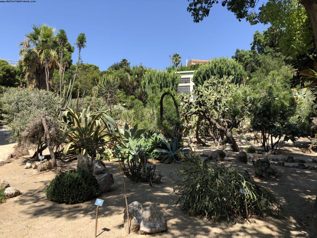 Botanical Garden - Cagliari - Our 68th Atlantis cruise (Celebrity Reflection)