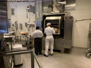 California Adventure - Disneyland