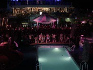 Animal Instinct - Our 69th Atlantis cruise (Norvegian Pearl)