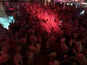 Animal Instinct - Our 69th Atlantis cruise (Norvegian Pearl)