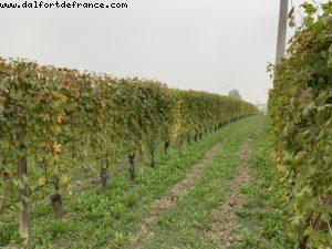 Annunziata - La Morra