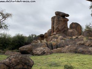 Animal Kingdom - Walt Disney World