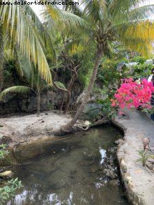 Roatan - Our 70th Atlantis cruise (Allure of the Seas)