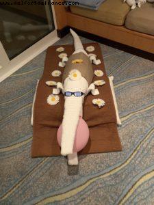 Suite #8730 - Our 70th Atlantis cruise (Allure of the Seas)