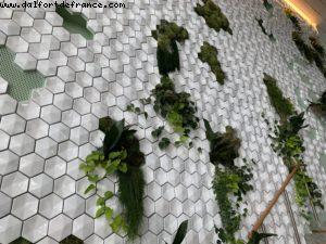 Eden - Our 71st Atlantis cruise (Celebrity Edge)