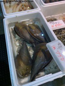 Shimizu, Japan - Our 72nd Atlantis cruise (Norvegian Jewel)