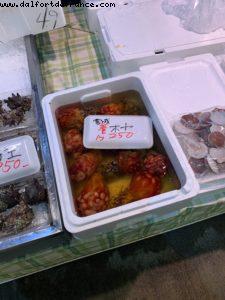 Shimizu, Japan - Our 72nd Atlantis cruise (Norvegian Jewel)