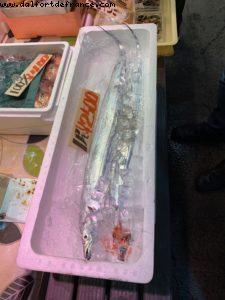 Shimizu, Japan - Our 72nd Atlantis cruise (Norvegian Jewel)