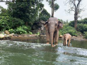 Hong Kong Disneyland