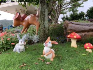 Hong Kong Disneyland