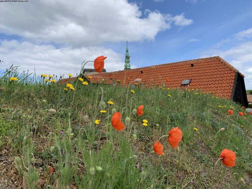 Kronborg Castle - Helsingor