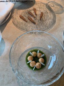 Geranium - Copenhaguen