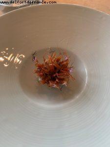 Geranium - Copenhaguen