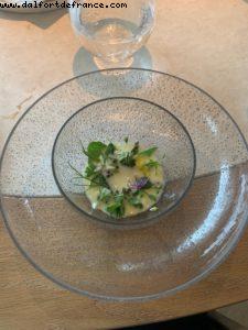 Geranium - Copenhaguen