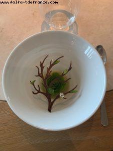 Geranium - Copenhaguen