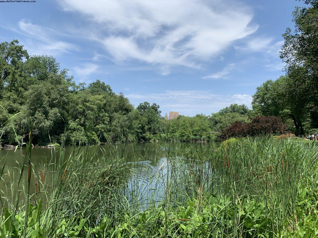 New York City - Stonewall 50th Anniversary 