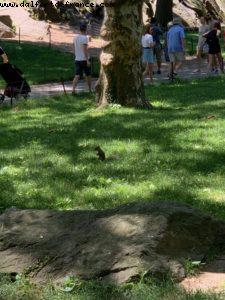 New York City - Stonewall 50th Anniversary 