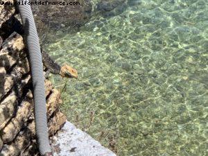 Corfu, Greece - Our 2nd 'The Cruise' - aka La Demence Cruise - (Rhapsody of the Seas)