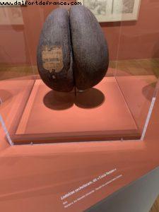 Marseille - Our 73rd Atlantis cruise (Allure of the Seas)