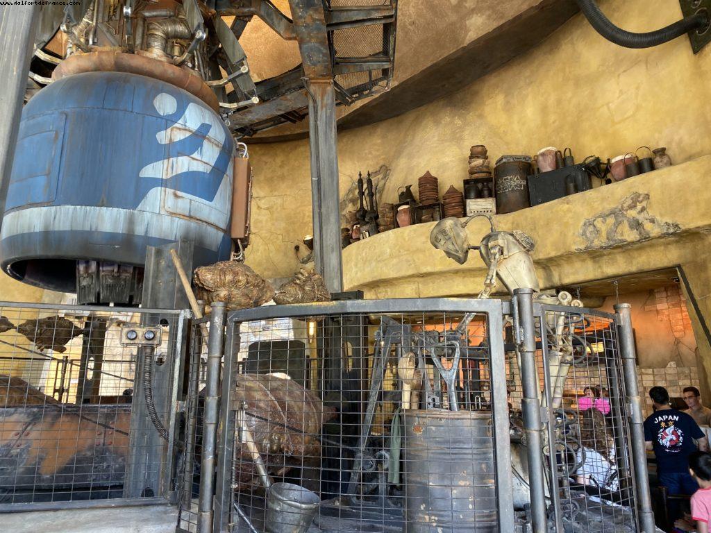 - Disneyland Park - California