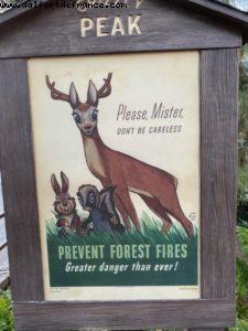 Disney's California Adventures