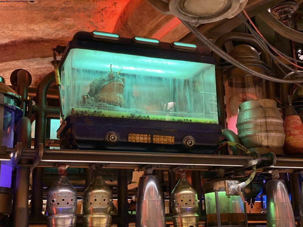 Oga's Cantina - Galaxy Edge - Disneyland Park - California