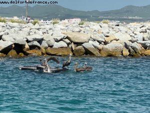 Cabo San Lucas - Our 74th Atlantis cruise (Celebrity Eclipse)