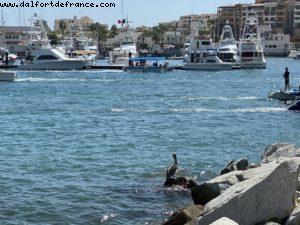 Cabo San Lucas - Our 74th Atlantis cruise (Celebrity Eclipse)