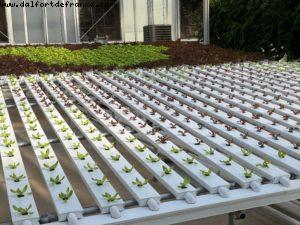 Epcot - Walt Disney World