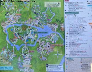 Animal Kingdom - Walt Disney World