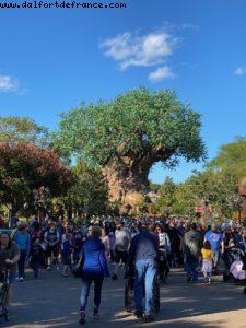 Animal Kingdom - Walt Disney World