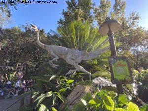 Animal Kingdom - Walt Disney World