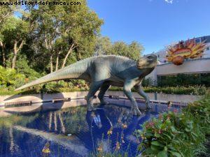 Animal Kingdom - Walt Disney World