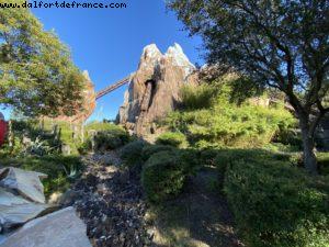 Animal Kingdom - Walt Disney World