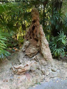 Animal Kingdom - Walt Disney World