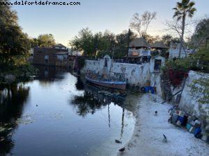 Animal Kingdom - Walt Disney World