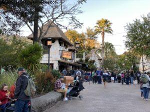 Animal Kingdom - Walt Disney World