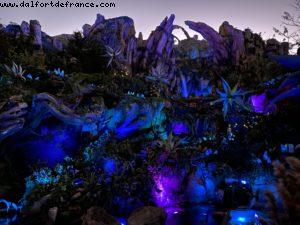 Animal Kingdom - Walt Disney World