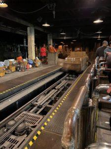 Animal Kingdom - Walt Disney World