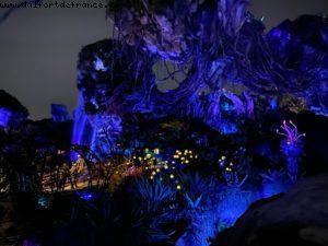 Animal Kingdom - Walt Disney World